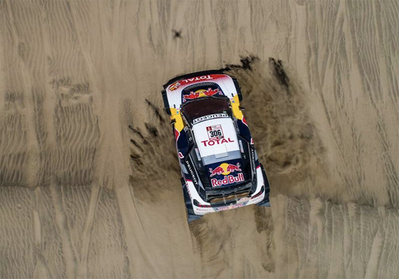 loeb