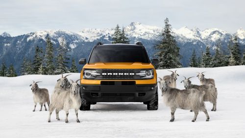 La historia detrás del poder y la inmensa capacidad del nuevo Ford Bronco Sport